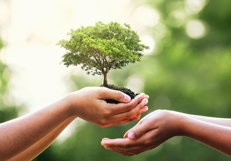 long8-唯一官方承诺